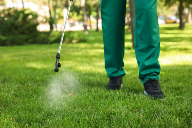 Best Pest Control for Homes  in Rosedale, CA