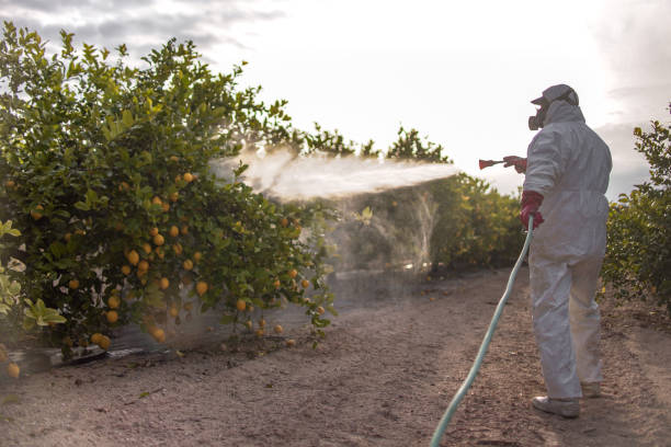 Bird Control in Rosedale, CA