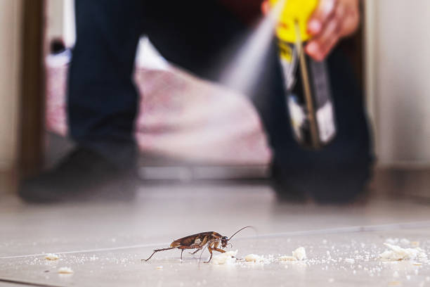 Best Pest Inspection Near Me  in Rosedale, CA