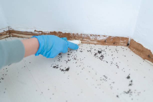  Rosedale, CA Pest Control Pros